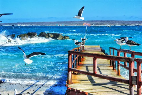 Tour Punta de Choros e Isla Damas
