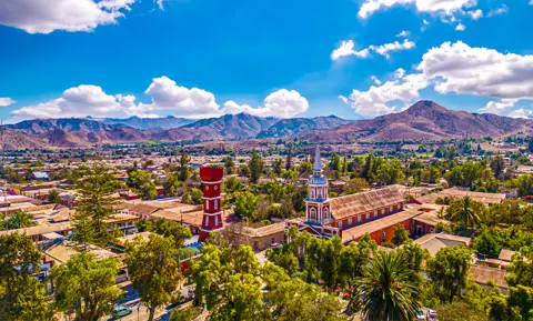 Vicuña Valle del Elqui