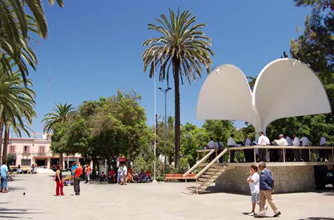 Viajes a Ovalle y Limarí
