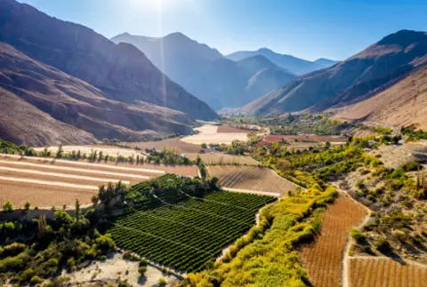 Tour Valle del Elqui