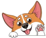 Pet Friendly MovilPro